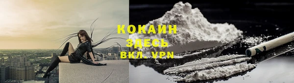 мяу мяу мука Ладушкин