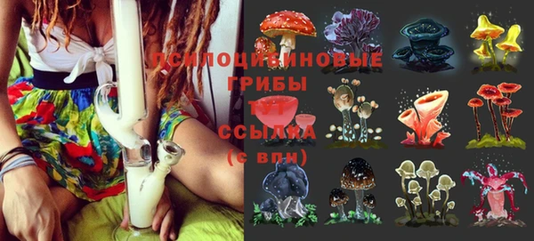 молекула духа Красноперекопск